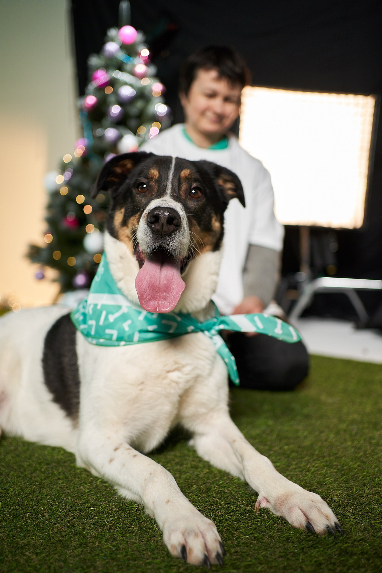 Проект «Андердоги» для коллаборации Фонда «Рэй», Sports.ru, Пари. Фотограф анималист Москва Дарья