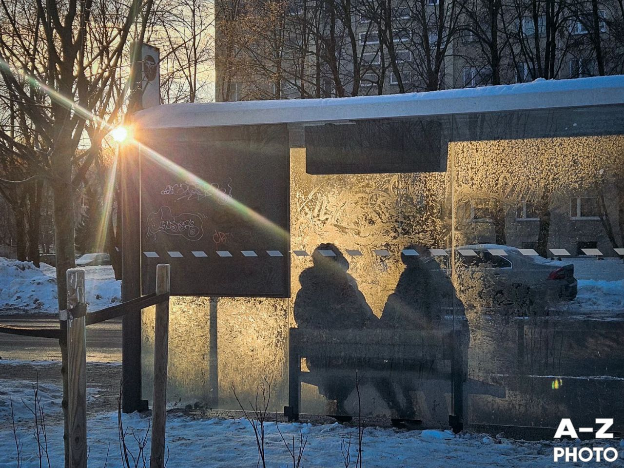 #ФОТОНЕДЕЛИ 26.01.2026. Женский семейный фотограф Тула Москва Захарова Анна