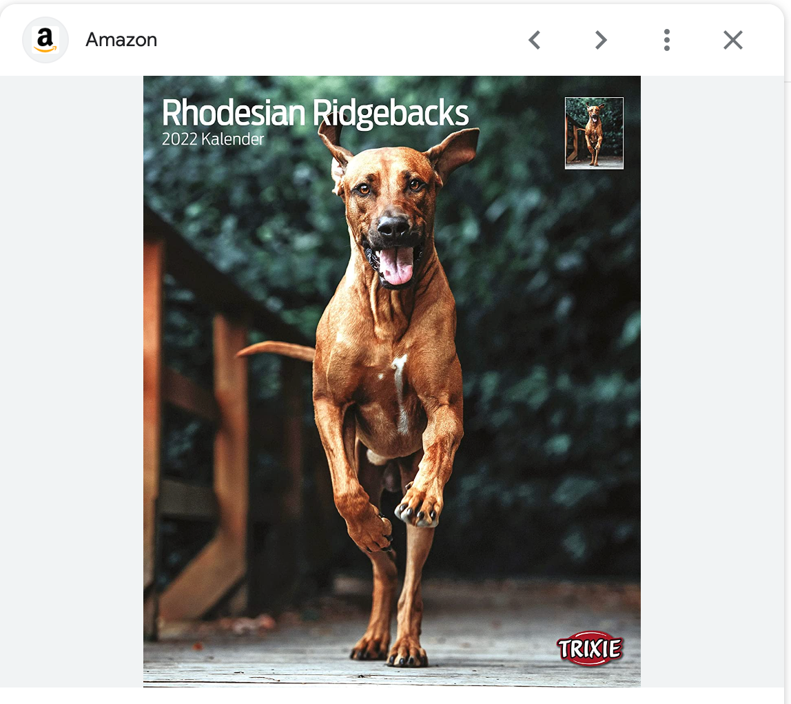 О фотографе TitAnya. Фотограф собак, фотограф-анималист Аня Титова (Titanya). Москва