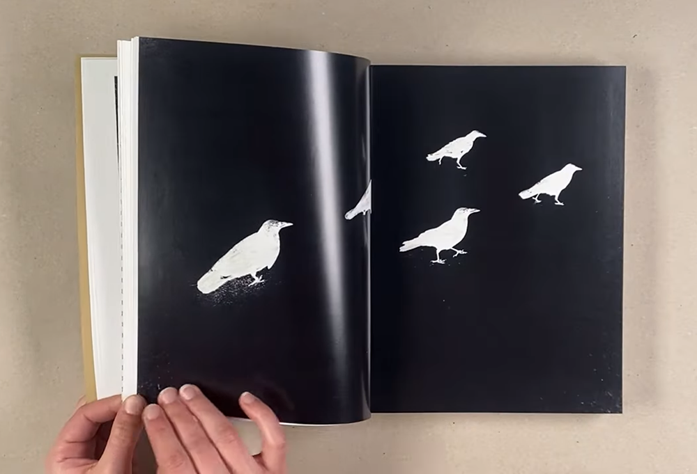 Книга «Bullet» Марко Марцокки (Marco Marzocchi). Private image