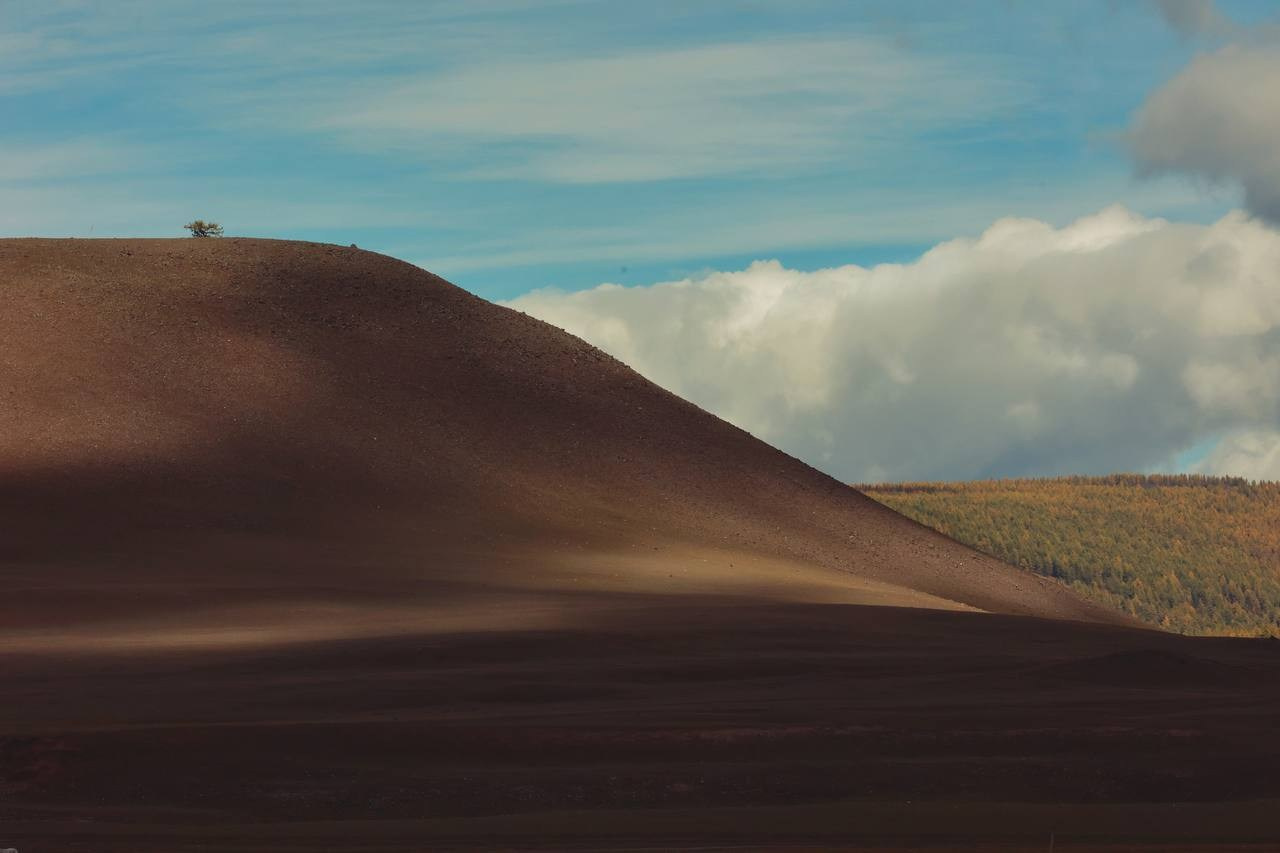 2024. Тащилин Сергей. Фотографии. Жизнь. Хобби