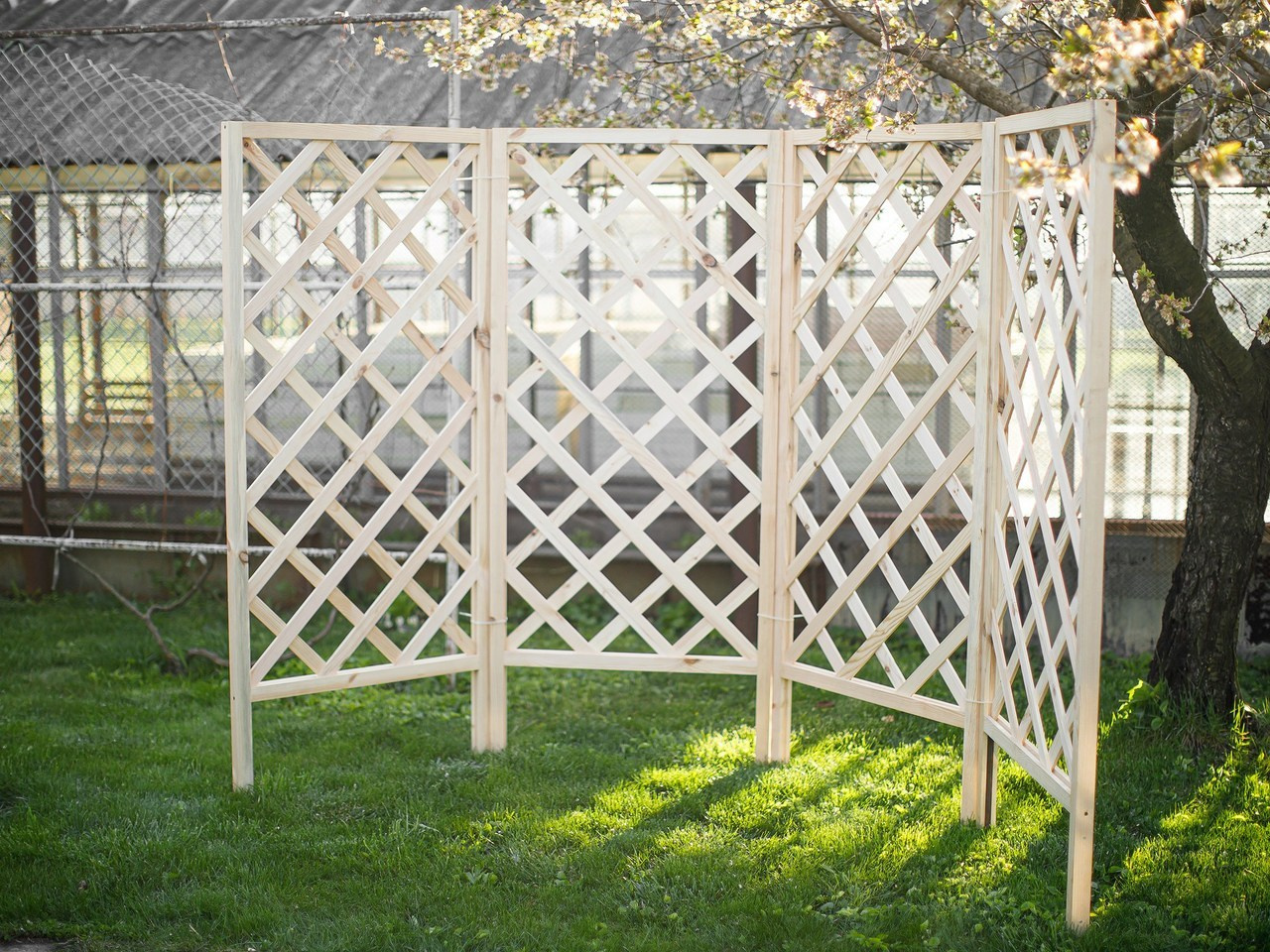 Отзывы. Фотограф новорождённых и детей до года на КМВ