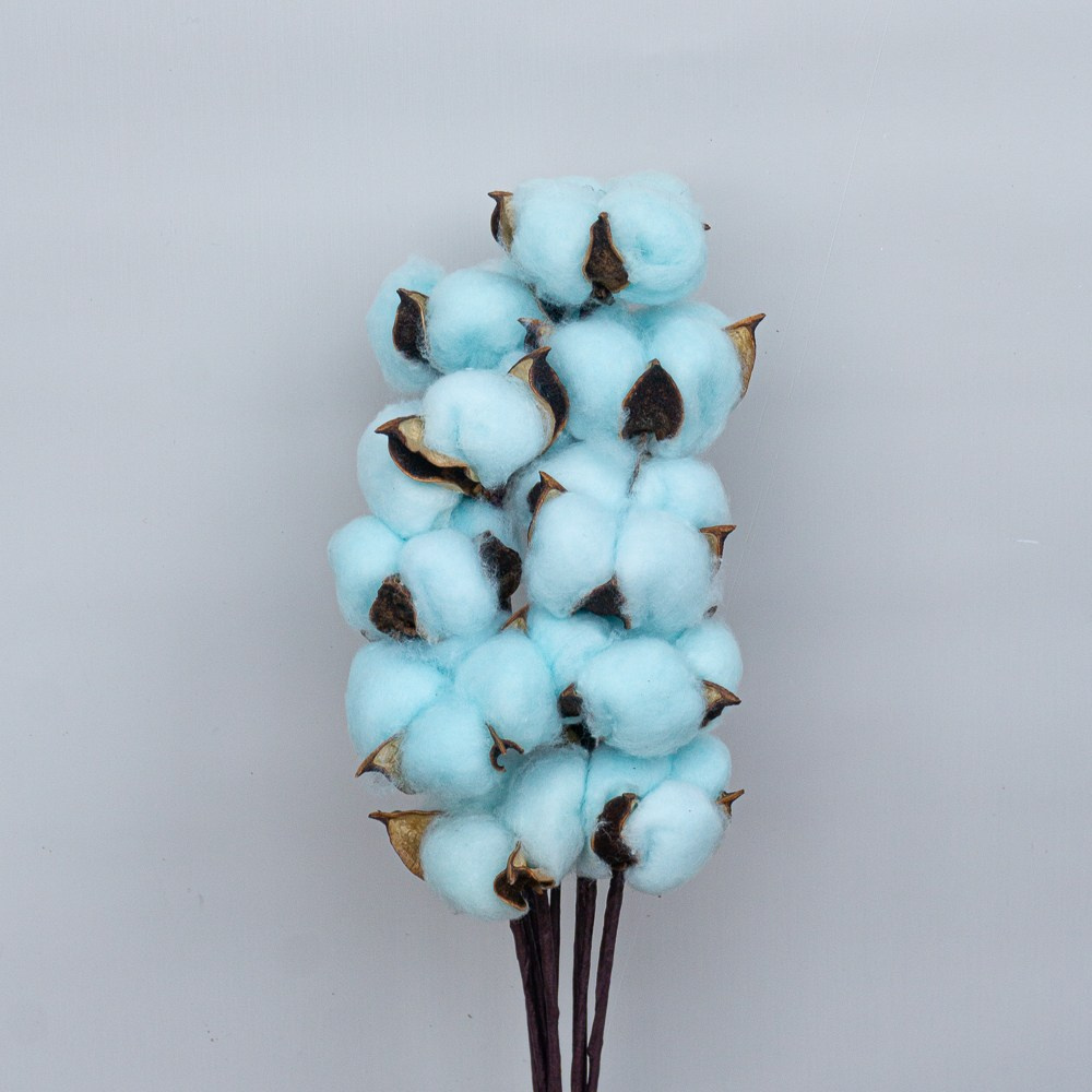 Сухоцветы. Фотограф в Екатеринбурге Яна Круташова