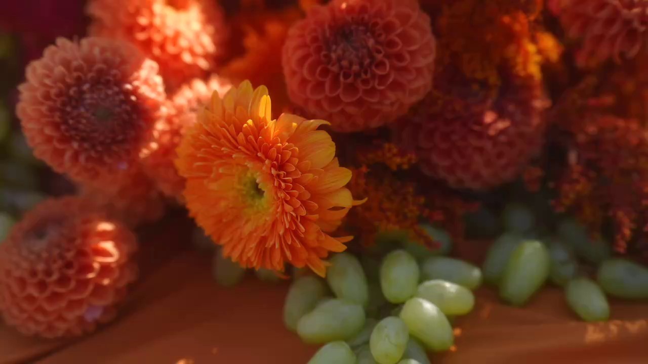 Юля и Дима. Агата Акварель видеограф Сочи Краснодар