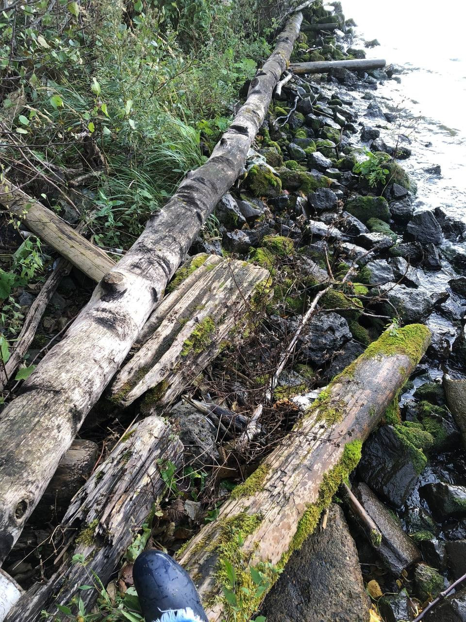 Каталог работ. Современная художница Елена Алексеева (Alpha_Vita)