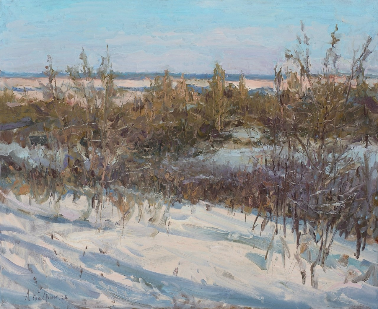 Январь. Морозный день.