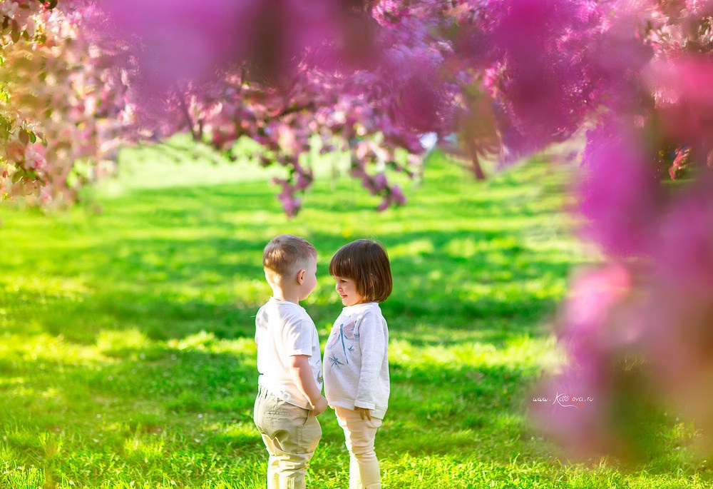 Околдованные розовой дымкой. Детский и семейный фотограф в Москве Катерина Орлова