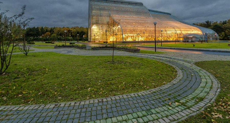 Фотосъёмка на аллеях московского парка — симметрия деревьев и перспектива дорожек