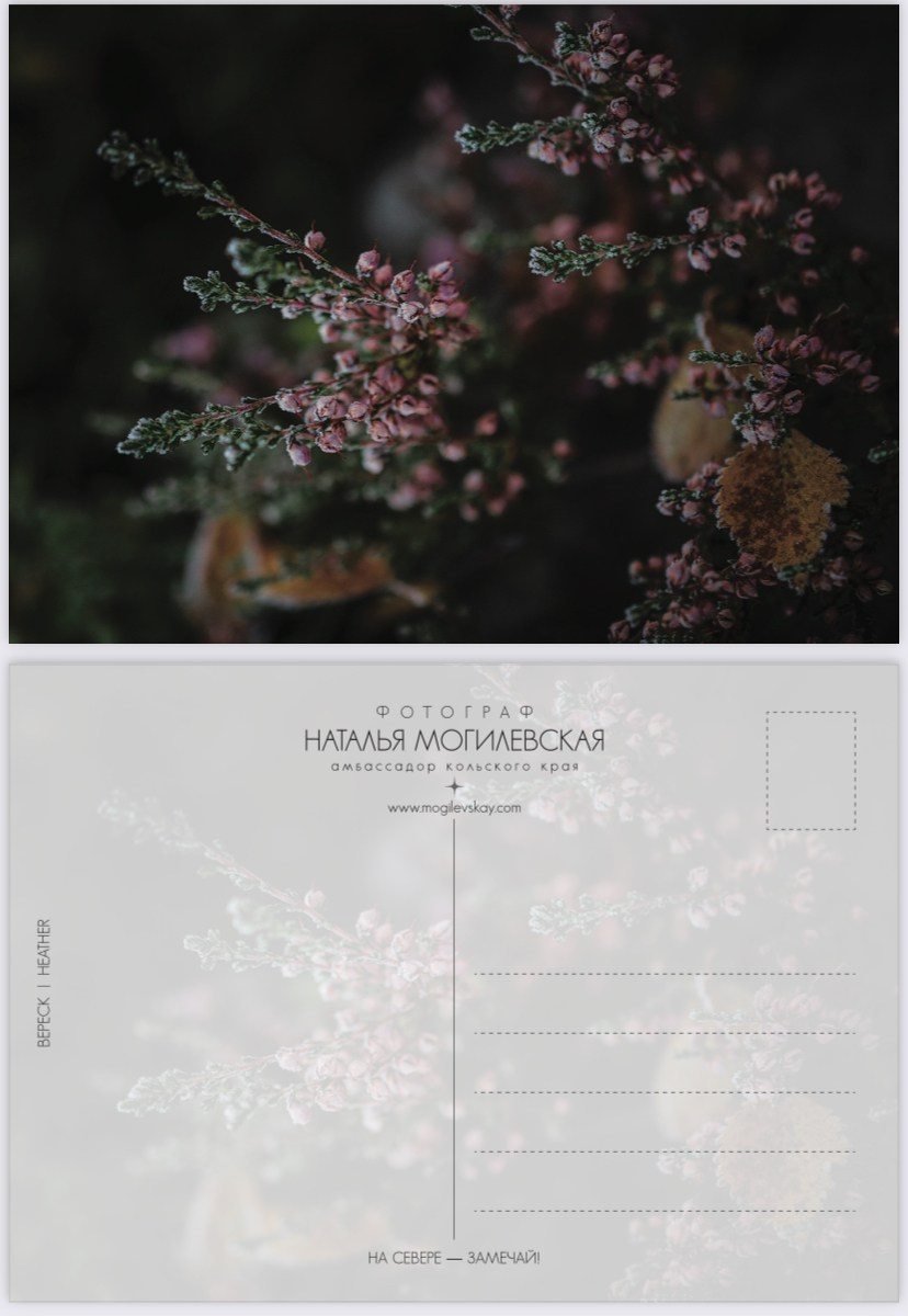 АВТОРСКИЕ ОТКРЫТКИ, 150руб. Фотограф Наталья Могилевская Мурманск Териберка Сейдозеро Рыбачий