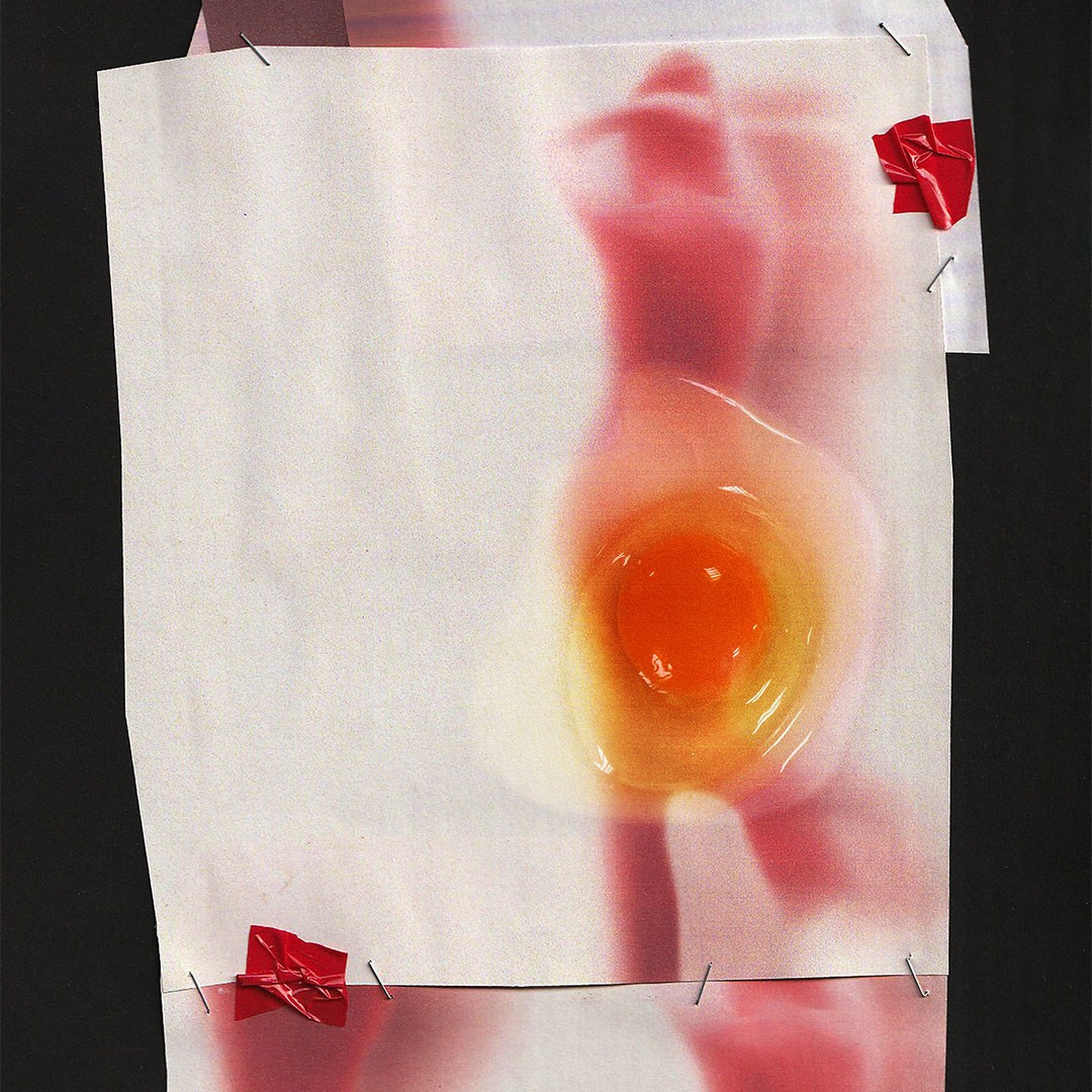 WHAT?. Evgenia Popova — Mixed media visual artist