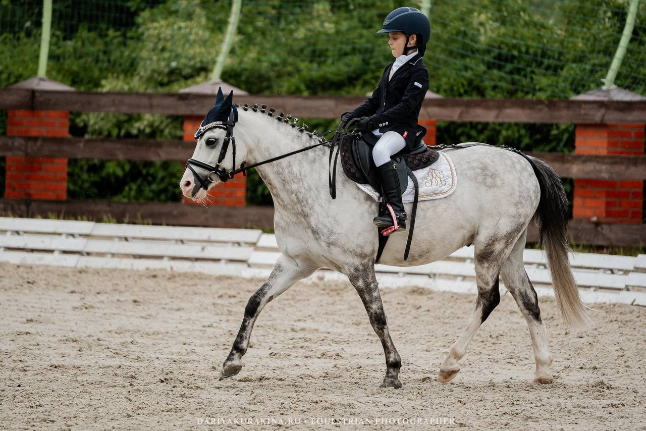 СОРЕВНОВАНИЯ ПО ВЫЕЗДКЕ, КОНИШКОЛА «ОЛИМПИЯ». Куракина Дарья • Конный фотограф