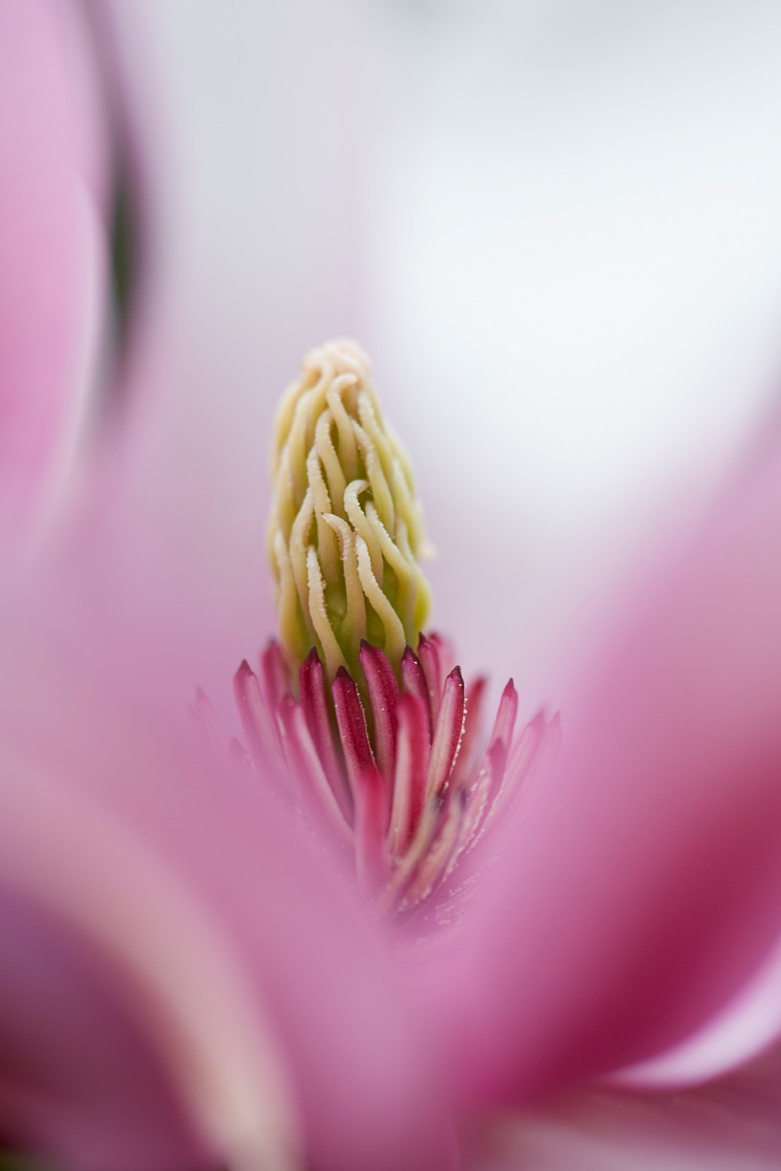 Коллекция «ПРИКОСНОВЕНИЕ». Лена Сми интерьерный и портретный фотограф. Москва и Санкт-Петербург