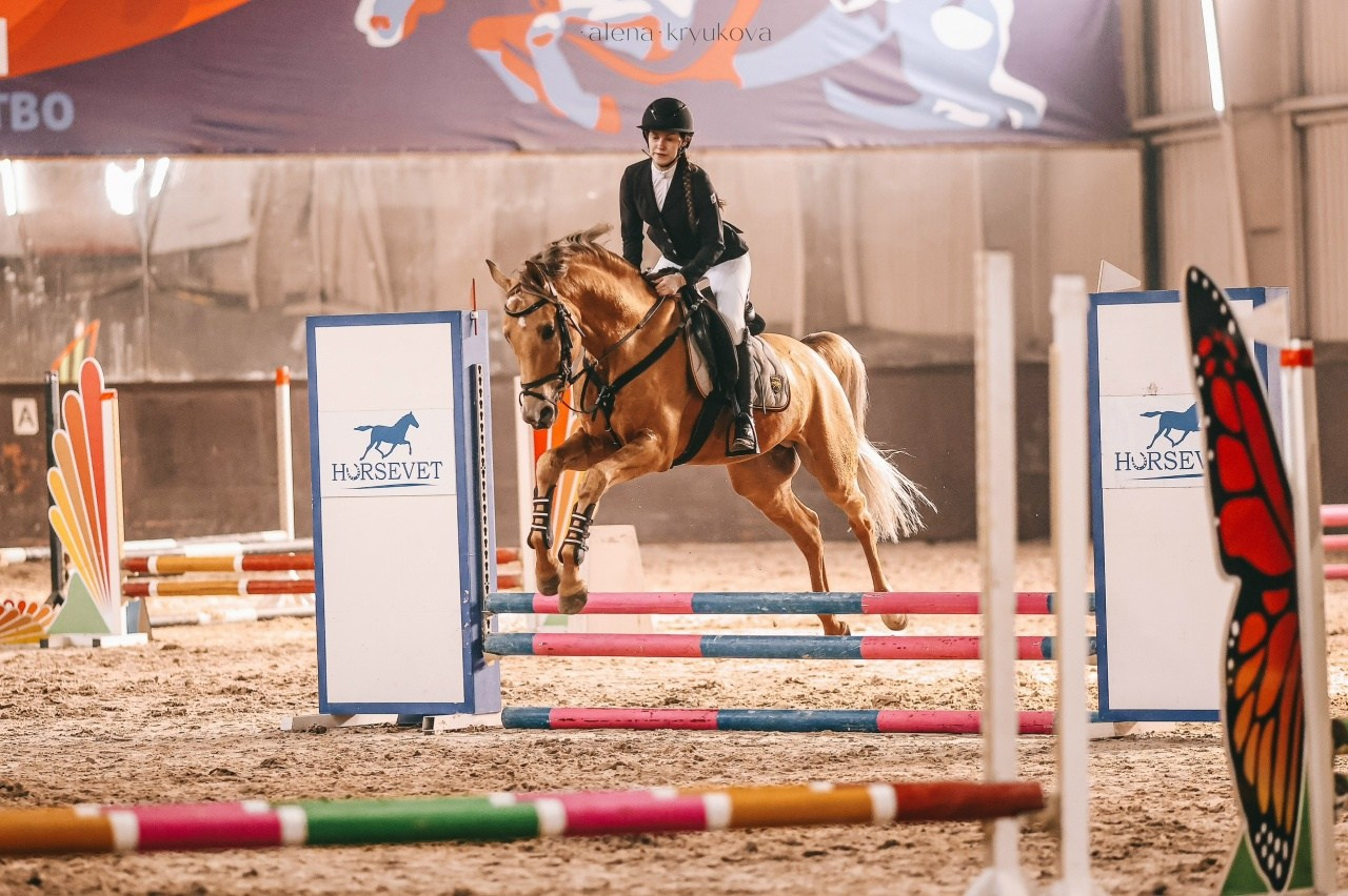 Зимние соревнования. Фотосессии с лошадьми