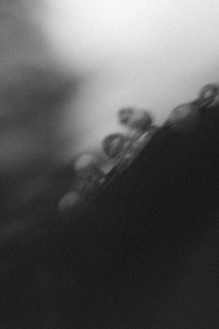 Фидан и Диана. Фотографии с душой