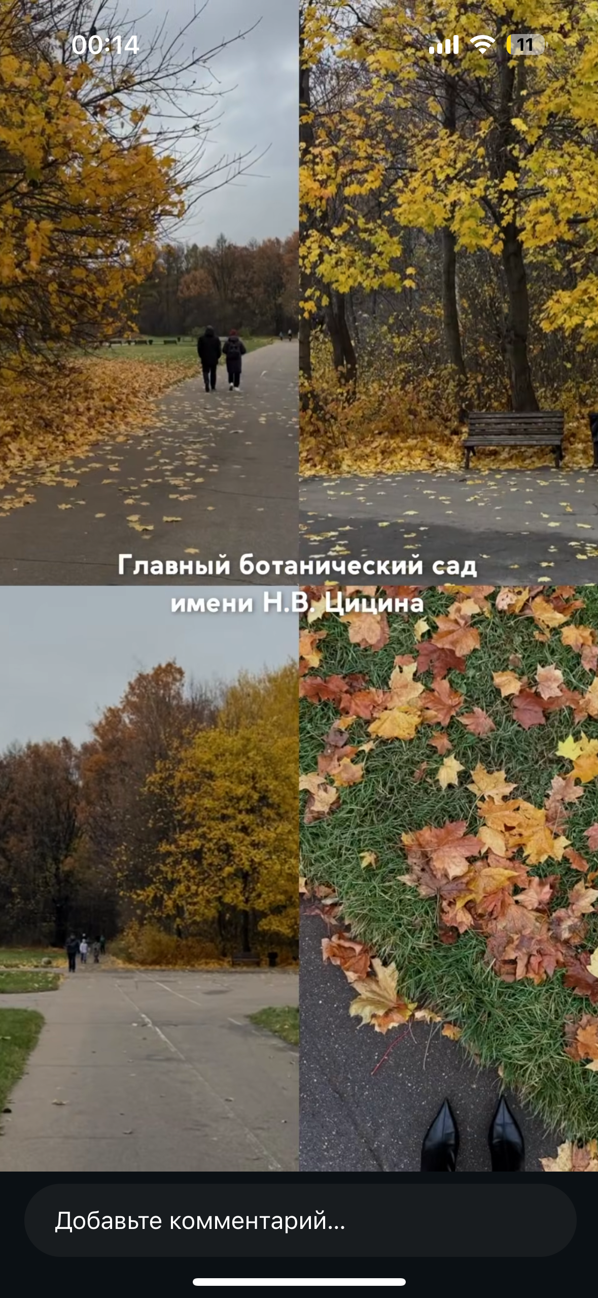 Городские. Фотограф Светлана Мерзлякова