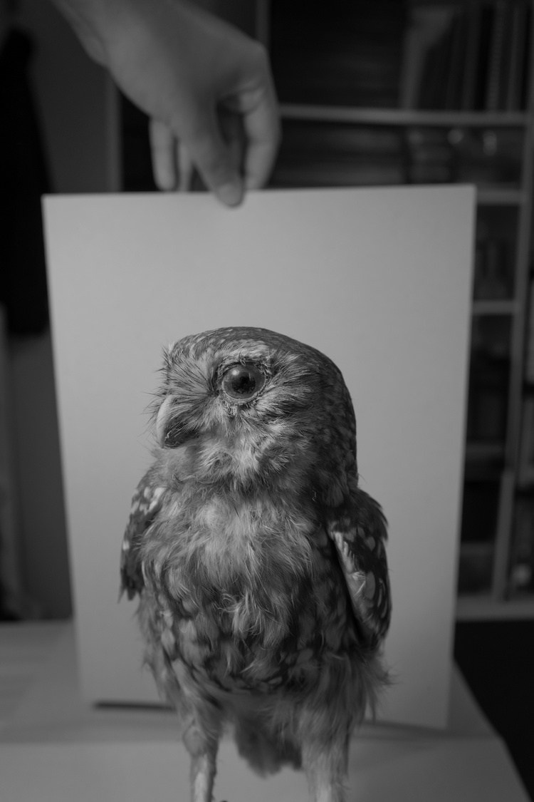 Проект Розы Лакавалла (Rosa Lacavalla) «Sana Sana». Private image