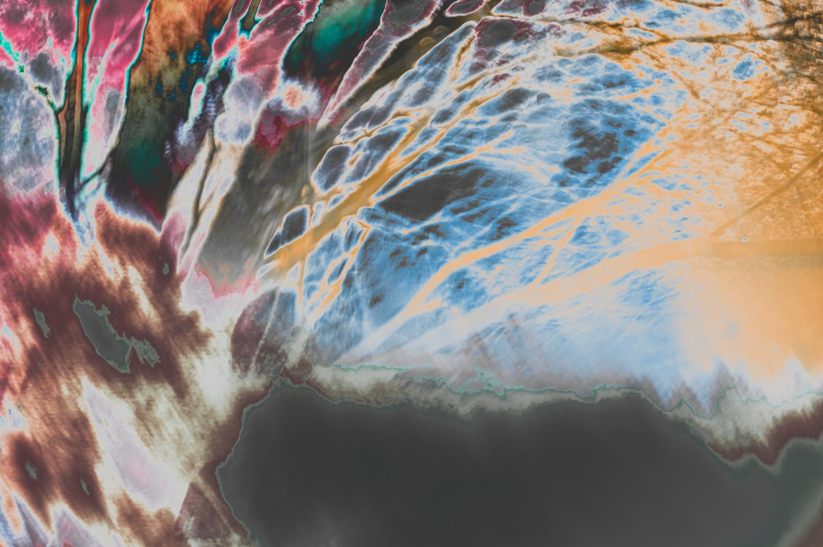 Magic forest. ПЕТР ПОПОВ | VISUAL ARTIST