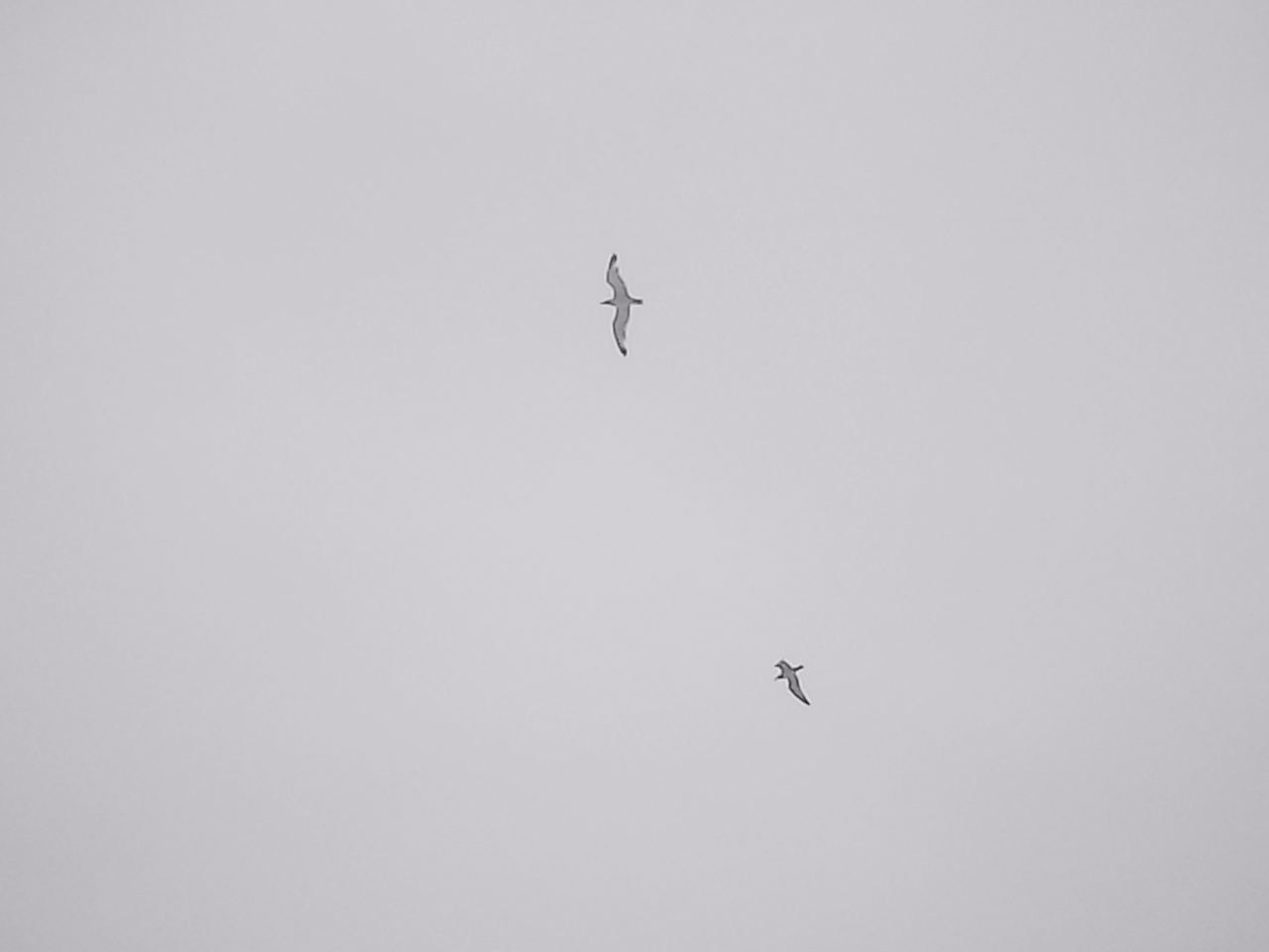 «Крошка 🐣». Anita_photo