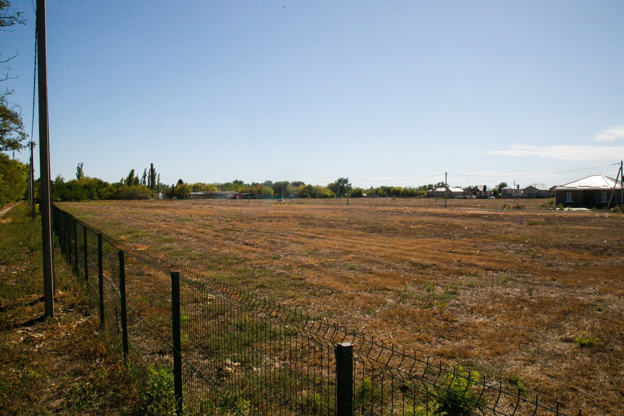 Отзывы. Свадебный и семейный фотограф в Ростове-на-Дону Кирилл Дементьев