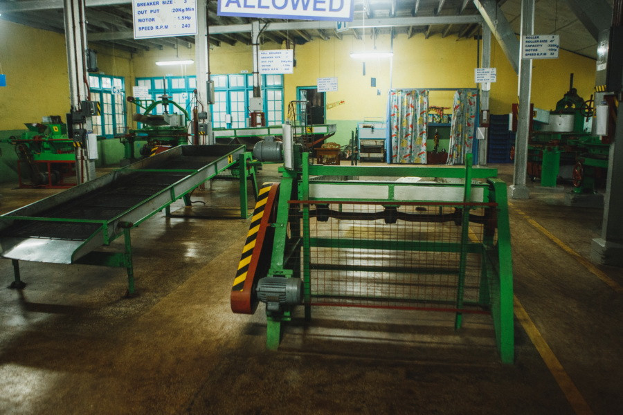 Отчет о путешествии на Шри-Ланку, блог о путешествии на Шри-Ланку. Свадебный фотограф в Санкт-Петербурге Никита Кузякин