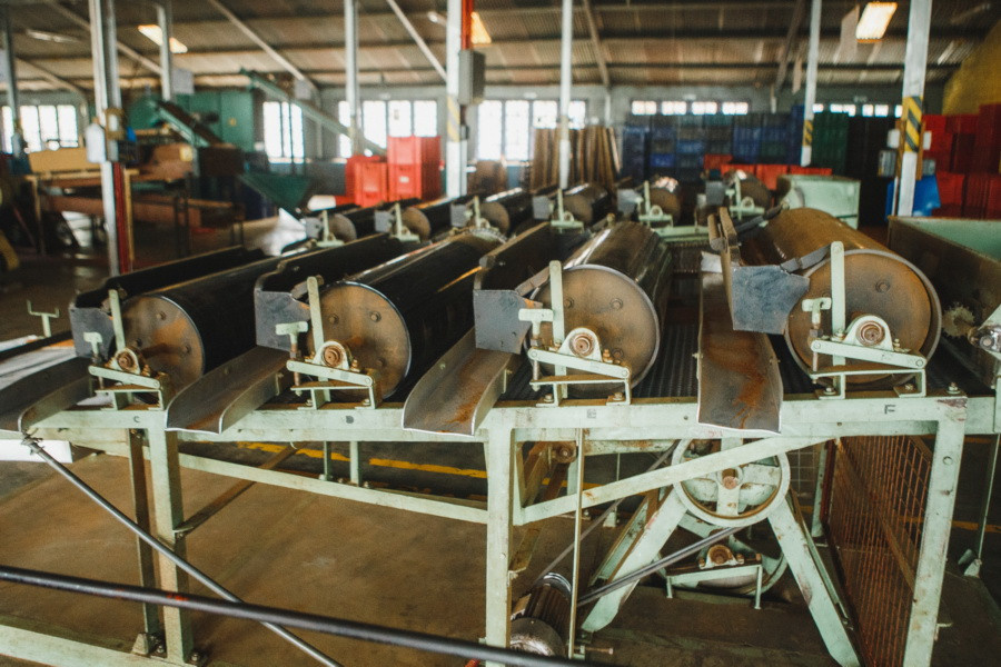 Отчет о путешествии на Шри-Ланку, блог о путешествии на Шри-Ланку. Свадебный фотограф в Санкт-Петербурге Никита Кузякин