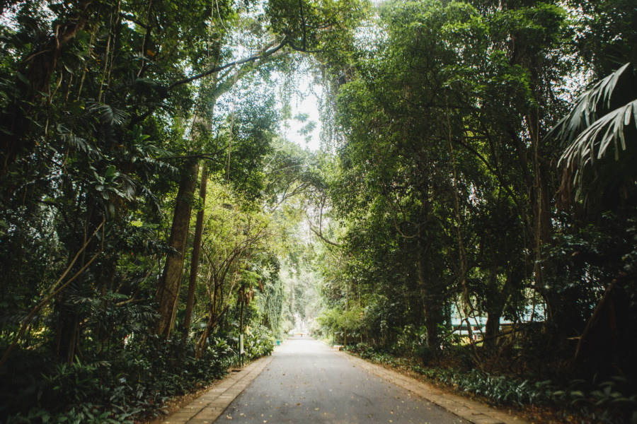 Отчет о путешествии на Шри-Ланку, блог о путешествии на Шри-Ланку. Свадебный фотограф в Санкт-Петербурге Никита Кузякин