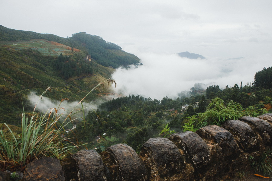 Отчет о путешествии на Шри-Ланку, блог о путешествии на Шри-Ланку. Свадебный фотограф в Санкт-Петербурге Никита Кузякин