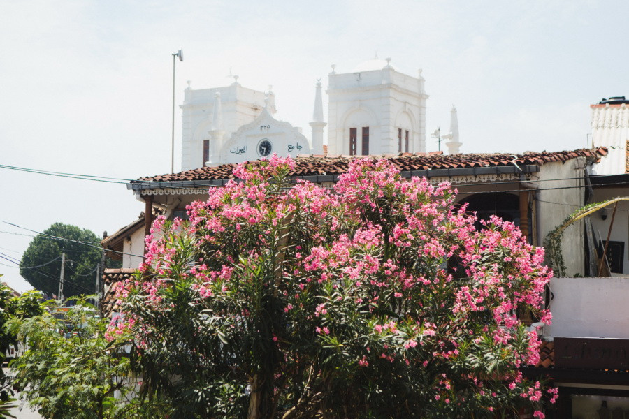Отчет о путешествии на Шри-Ланку, блог о путешествии на Шри-Ланку. Свадебный фотограф в Санкт-Петербурге Никита Кузякин
