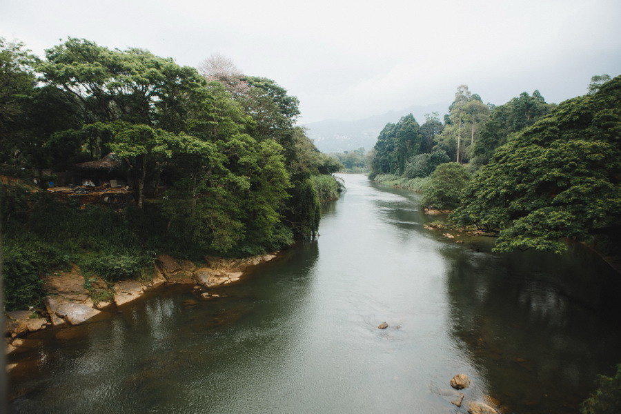 Отчет о путешествии на Шри-Ланку, блог о путешествии на Шри-Ланку. Свадебный фотограф в Санкт-Петербурге Никита Кузякин