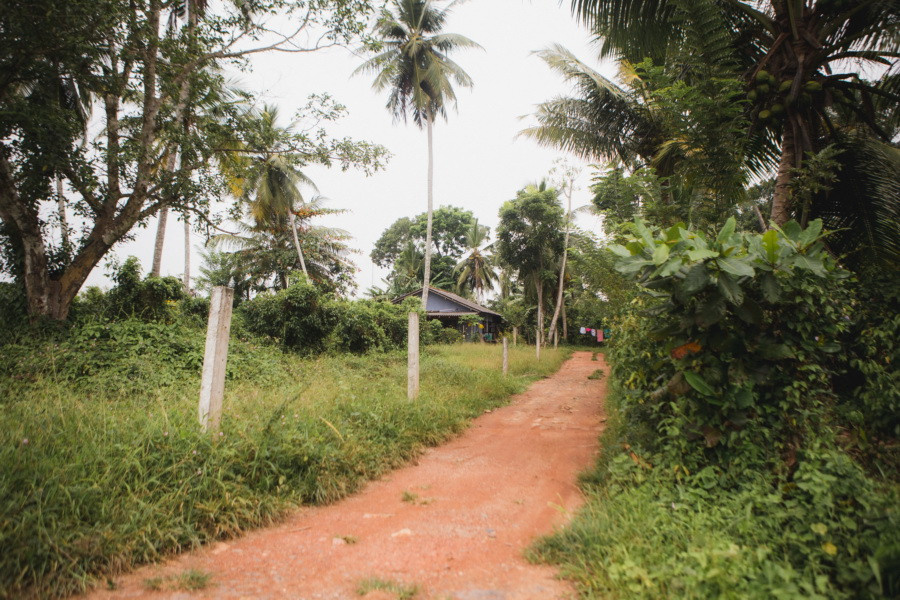 Отчет о путешествии на Шри-Ланку, блог о путешествии на Шри-Ланку. Свадебный фотограф в Санкт-Петербурге Никита Кузякин