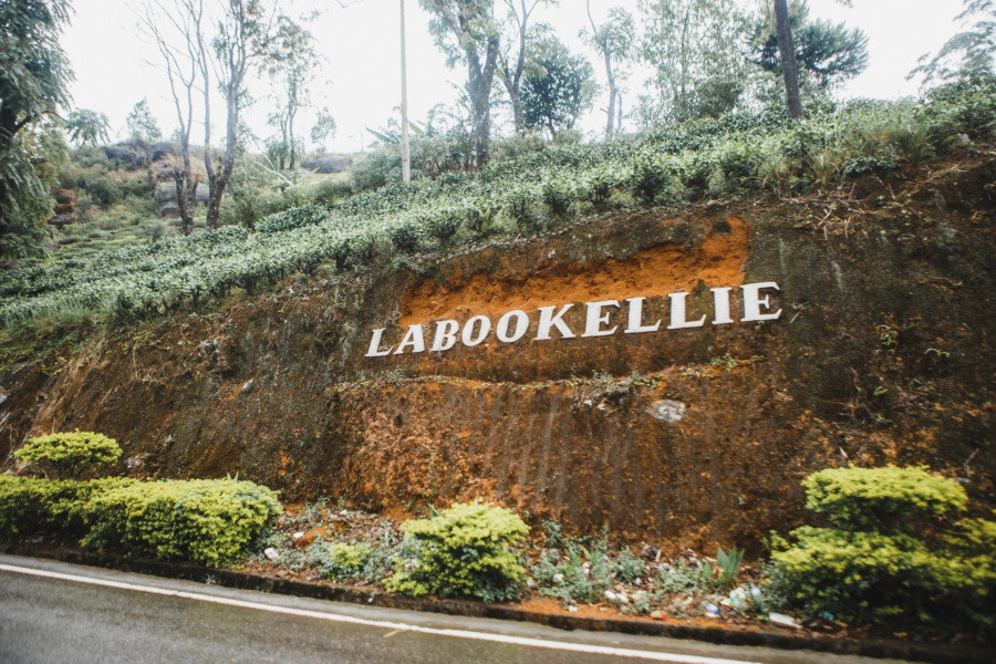 Отчет о путешествии на Шри-Ланку, блог о путешествии на Шри-Ланку. Свадебный фотограф в Санкт-Петербурге Никита Кузякин