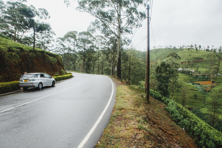 Отчет о путешествии на Шри-Ланку, блог о путешествии на Шри-Ланку. Свадебный фотограф в Санкт-Петербурге Никита Кузякин