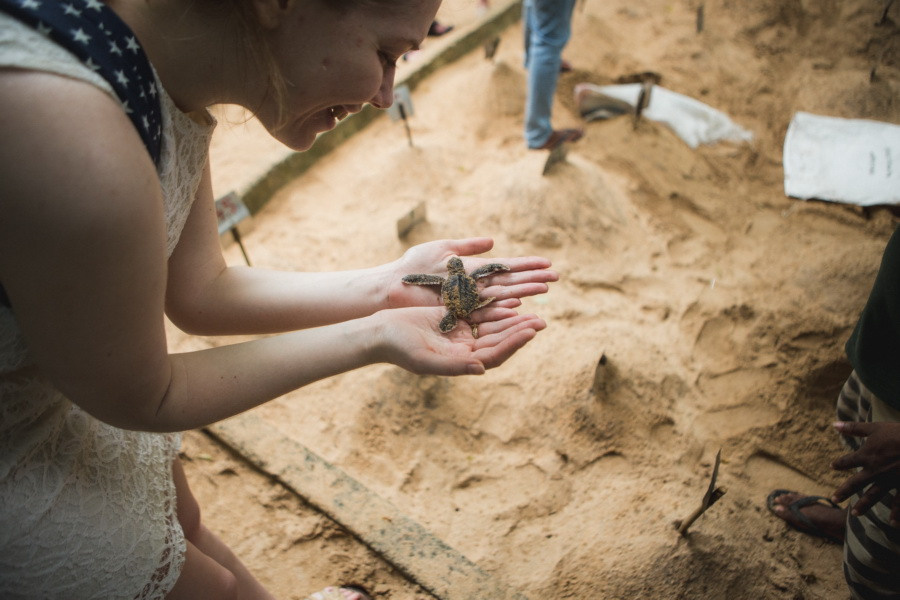Отчет о путешествии на Шри-Ланку, блог о путешествии на Шри-Ланку. Свадебный фотограф в Санкт-Петербурге Никита Кузякин