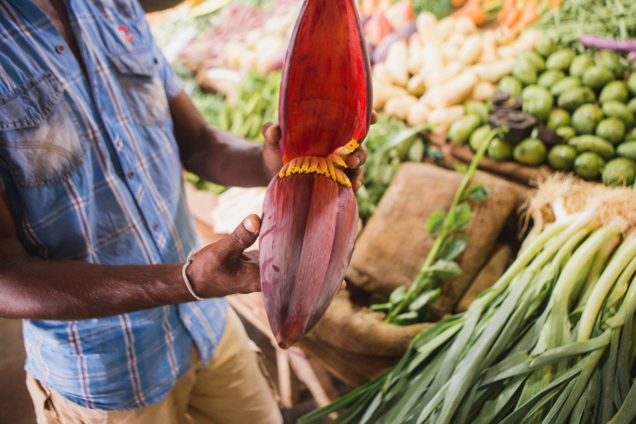 Отчет о путешествии на Шри-Ланку, блог о путешествии на Шри-Ланку. Свадебный фотограф в Санкт-Петербурге Никита Кузякин
