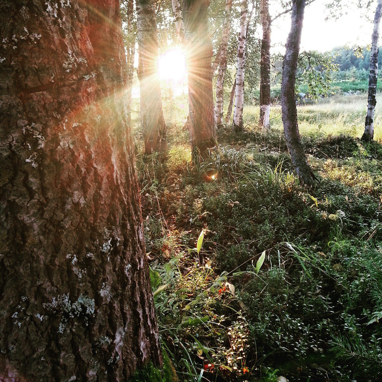 Поездка в Карелию, фототчет с поездки в Карелию. Свадебный фотограф в Санкт-Петербурге Никита Кузякин