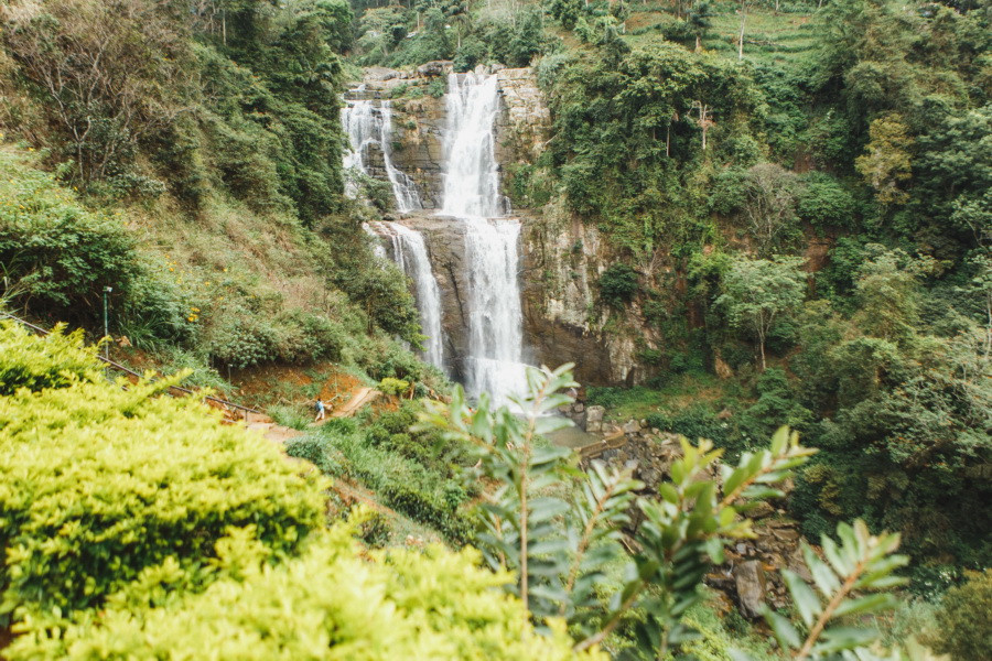 Отчет о путешествии на Шри-Ланку, блог о путешествии на Шри-Ланку. Свадебный фотограф в Санкт-Петербурге Никита Кузякин