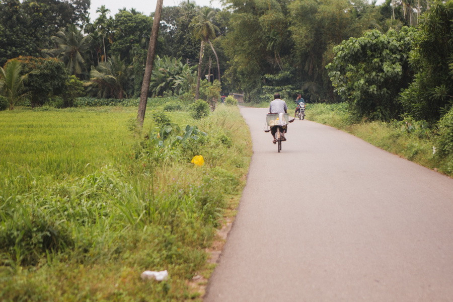 Отчет о путешествии на Шри-Ланку, блог о путешествии на Шри-Ланку. Свадебный фотограф в Санкт-Петербурге Никита Кузякин