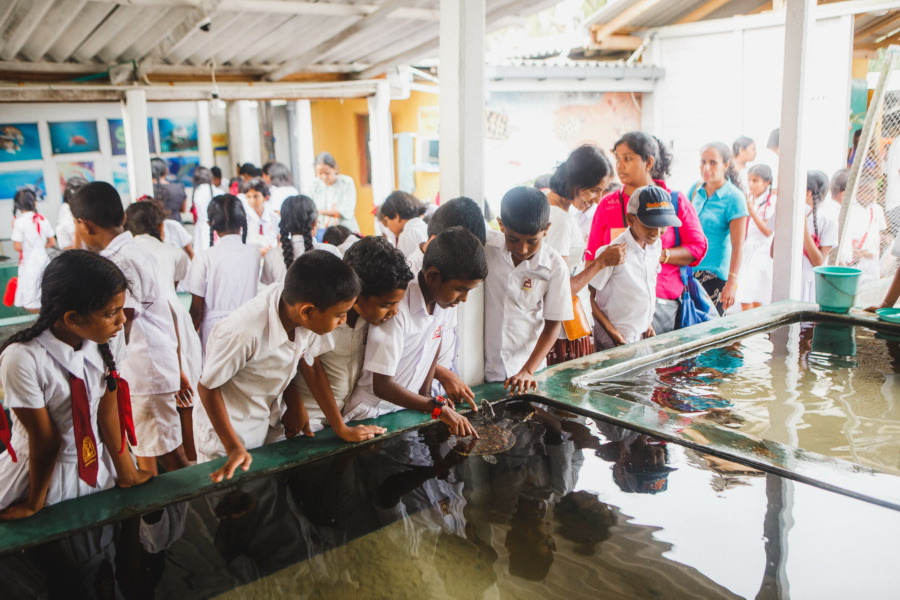 Отчет о путешествии на Шри-Ланку, блог о путешествии на Шри-Ланку. Свадебный фотограф в Санкт-Петербурге Никита Кузякин