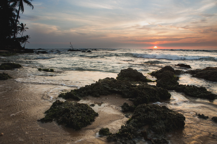 Отчет о путешествии на Шри-Ланку, блог о путешествии на Шри-Ланку. Свадебный фотограф в Санкт-Петербурге Никита Кузякин