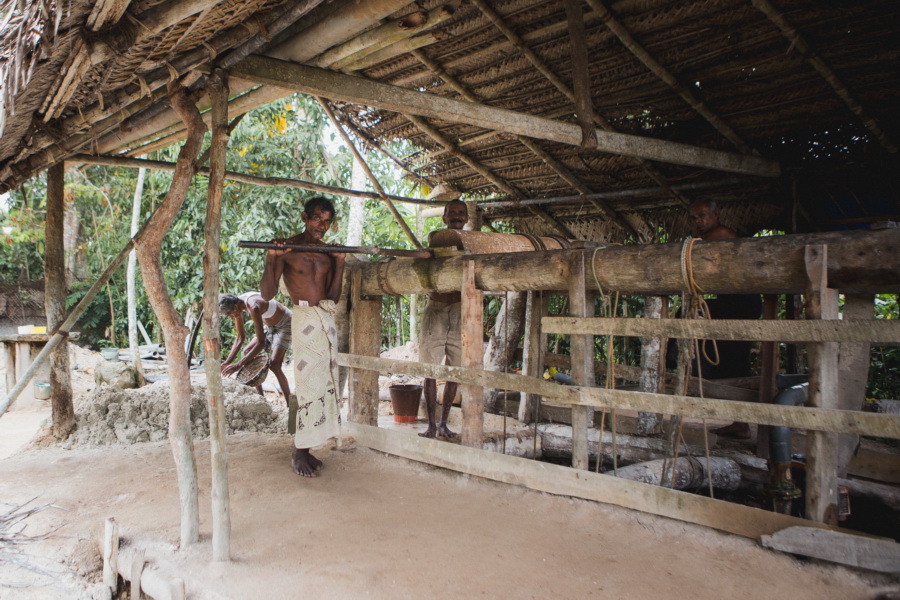 Отчет о путешествии на Шри-Ланку, блог о путешествии на Шри-Ланку. Свадебный фотограф в Санкт-Петербурге Никита Кузякин
