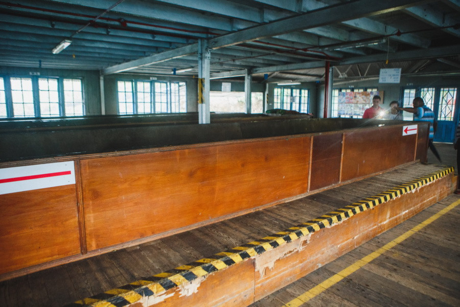 Отчет о путешествии на Шри-Ланку, блог о путешествии на Шри-Ланку. Свадебный фотограф в Санкт-Петербурге Никита Кузякин