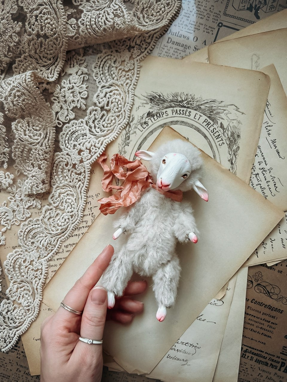 Тедди. Фотограф Ольга Сальманович