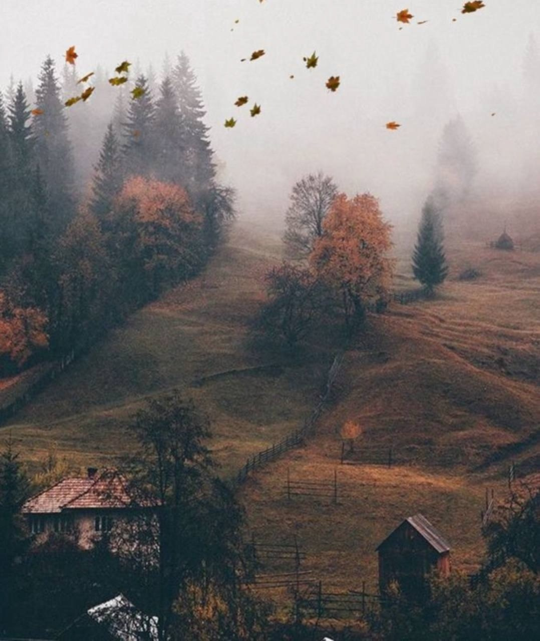 Страница со стихами. Поэт Александр Зайцев