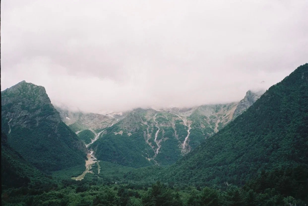 Плёночная история. Фотограф Новгородская Полина | Москва