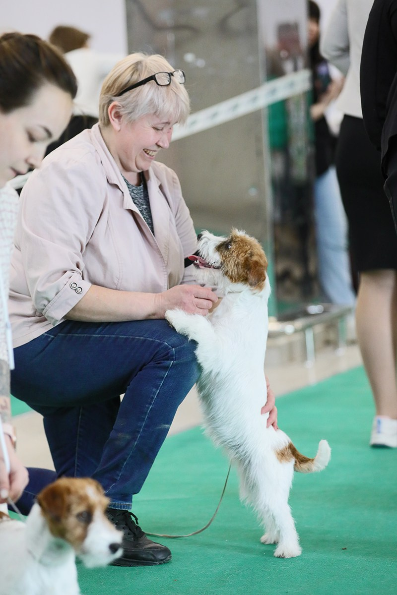 Port Fortis Nord Star