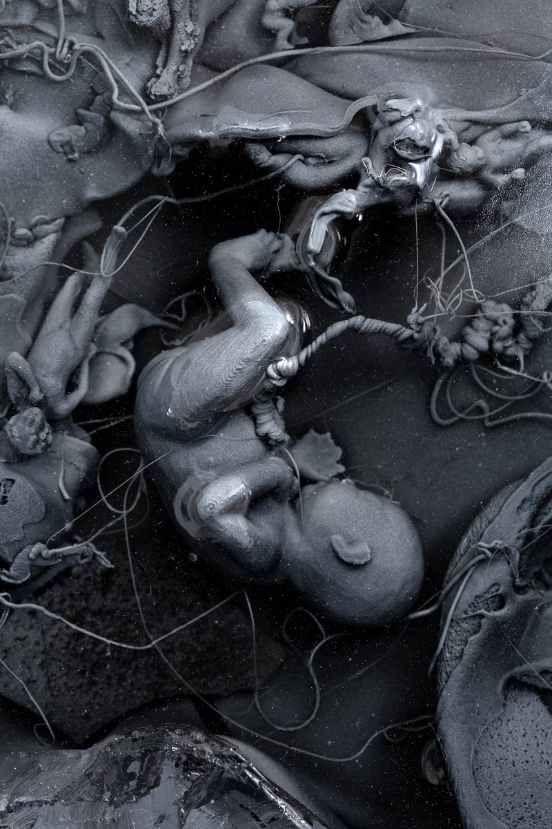 Exhibition. Alexey Bogolepov photography