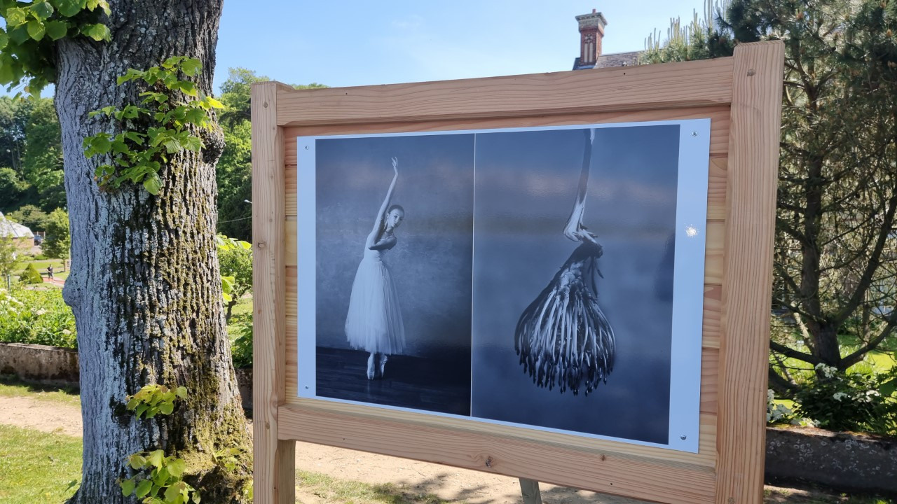 Фотопроект  Юлии Артемьевой Балерина и цветы