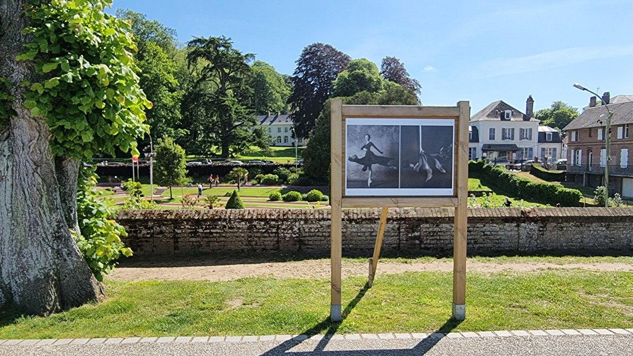 Фотопроект  Юлии Артемьевой Балерина и цветы