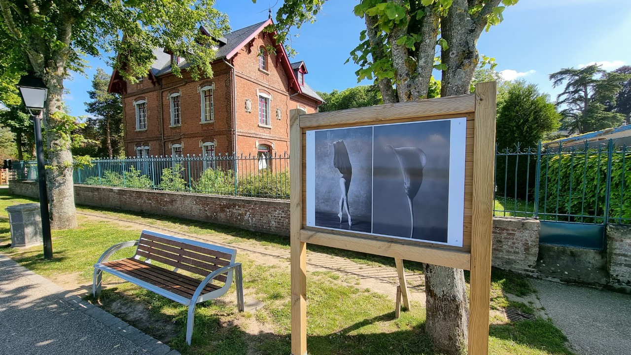 Фотопроект  Юлии Артемьевой Балерина и цветы