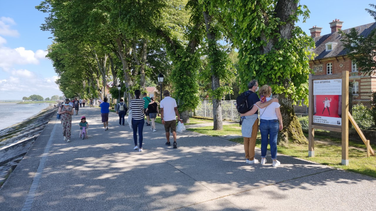 Фотопроект  Юлии Артемьевой Балерина и цветы